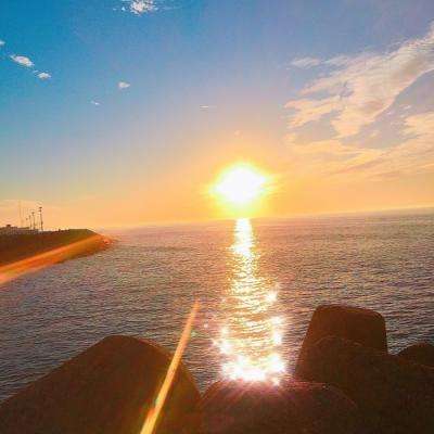 乐鱼app下载下载手机版