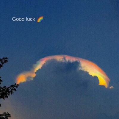 大发dafa888手机app下载